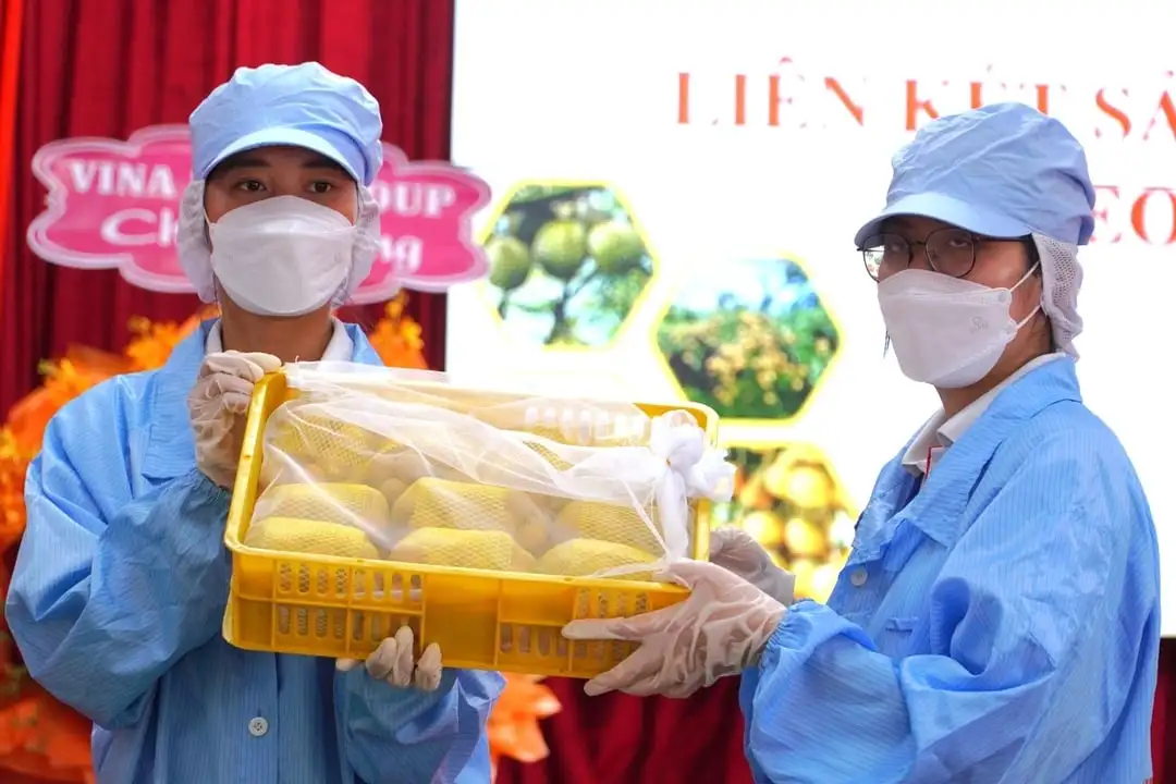 Cận cảnh quy trình kiểm soát chất lượng thanh nhãn xuất khẩu