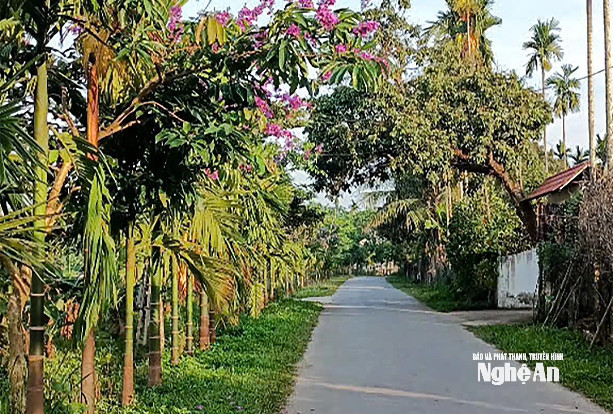 Cát Ngạn hướng mục tiêu đạt chuẩn xã nông thôn mới nâng cao