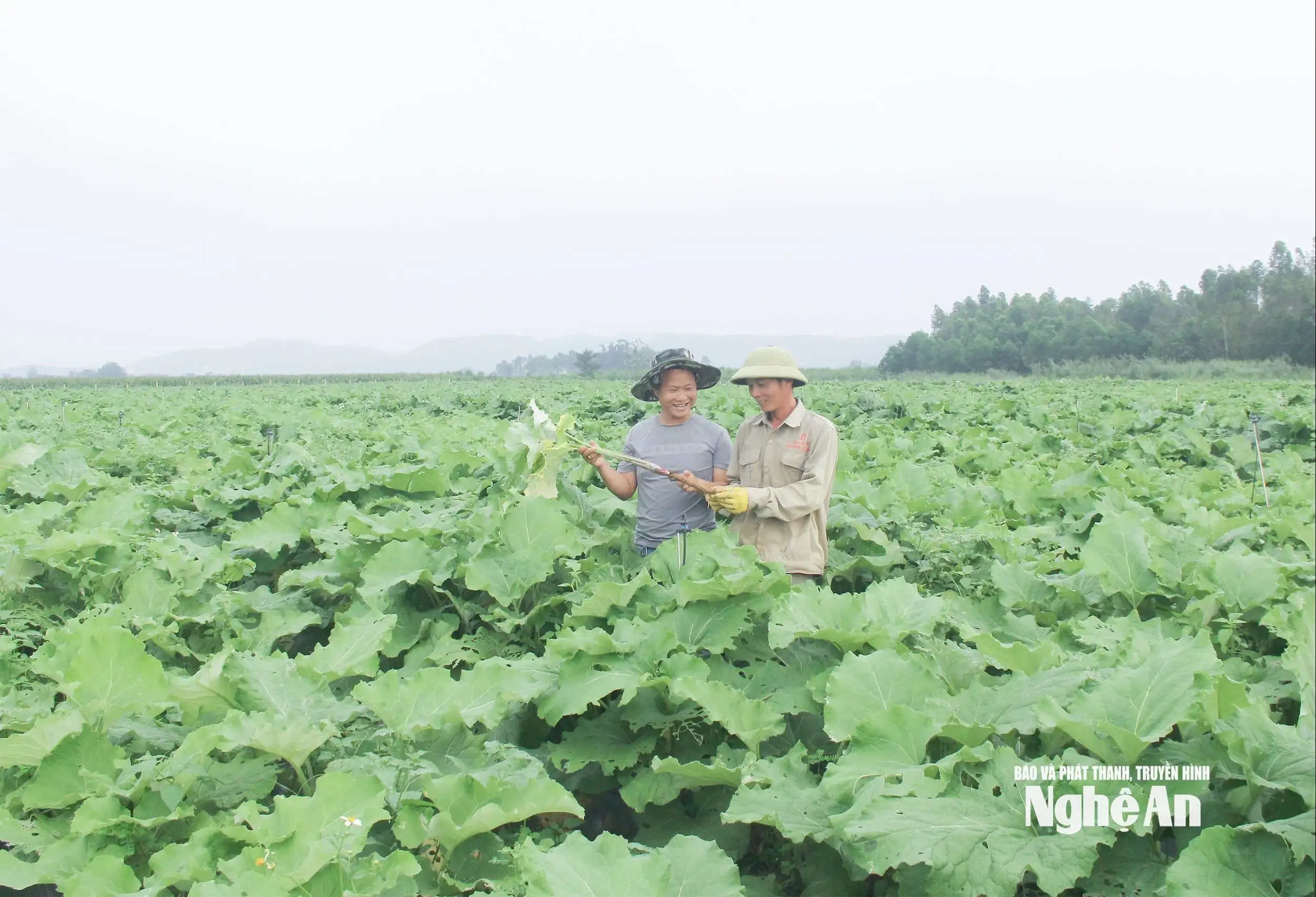 Chào mừng Đại hội đại biểu Đảng bộ xã Hưng Nguyên Nam lần thứ I, nhiệm kỳ 2025 &#8211; 2030:Đổi mới tư duy, đưa Hưng Nguyên Nam thành xã nông thôn mới kiểu mẫu, hiện đại, giàu bản sắc văn hóa