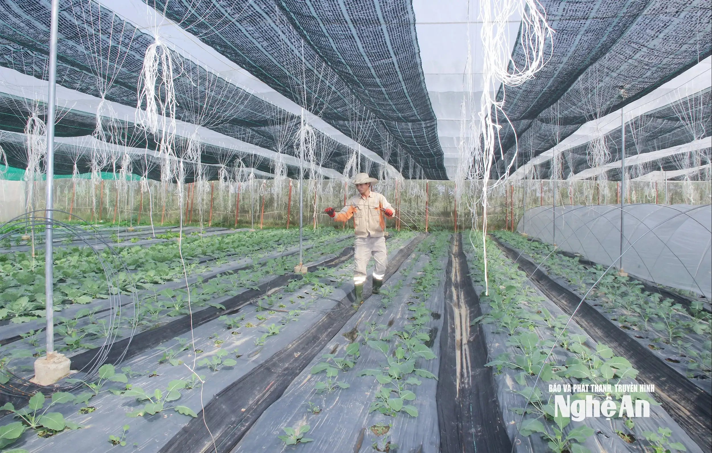 Chào mừng Đại hội đại biểu Đảng bộ xã Hưng Nguyên Nam lần thứ I, nhiệm kỳ 2025 &#8211; 2030:Đổi mới tư duy, đưa Hưng Nguyên Nam thành xã nông thôn mới kiểu mẫu, hiện đại, giàu bản sắc văn hóa