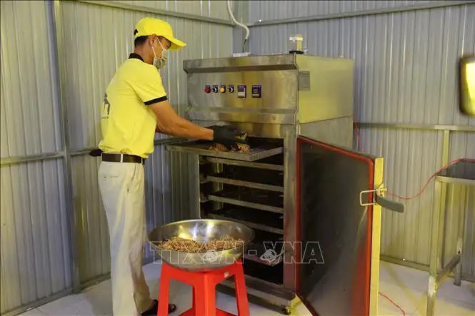 Chế biến sâu &#8211; nâng tầm giá trị sản phẩm OCOP