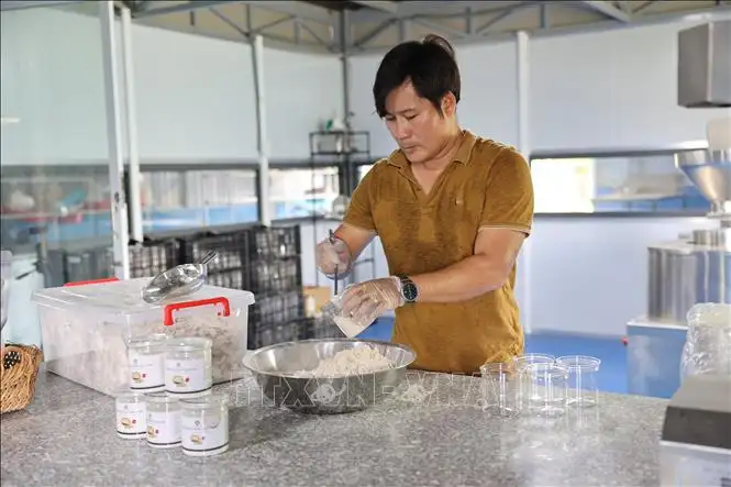 Chế biến sâu – nâng tầm giá trị sản phẩm OCOP