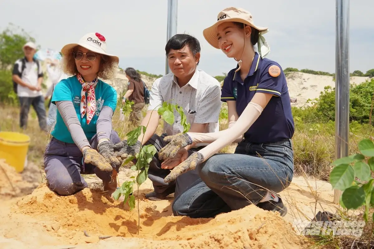 ‘Chung sức trồng rừng’ vì một Việt Nam xanh hơn