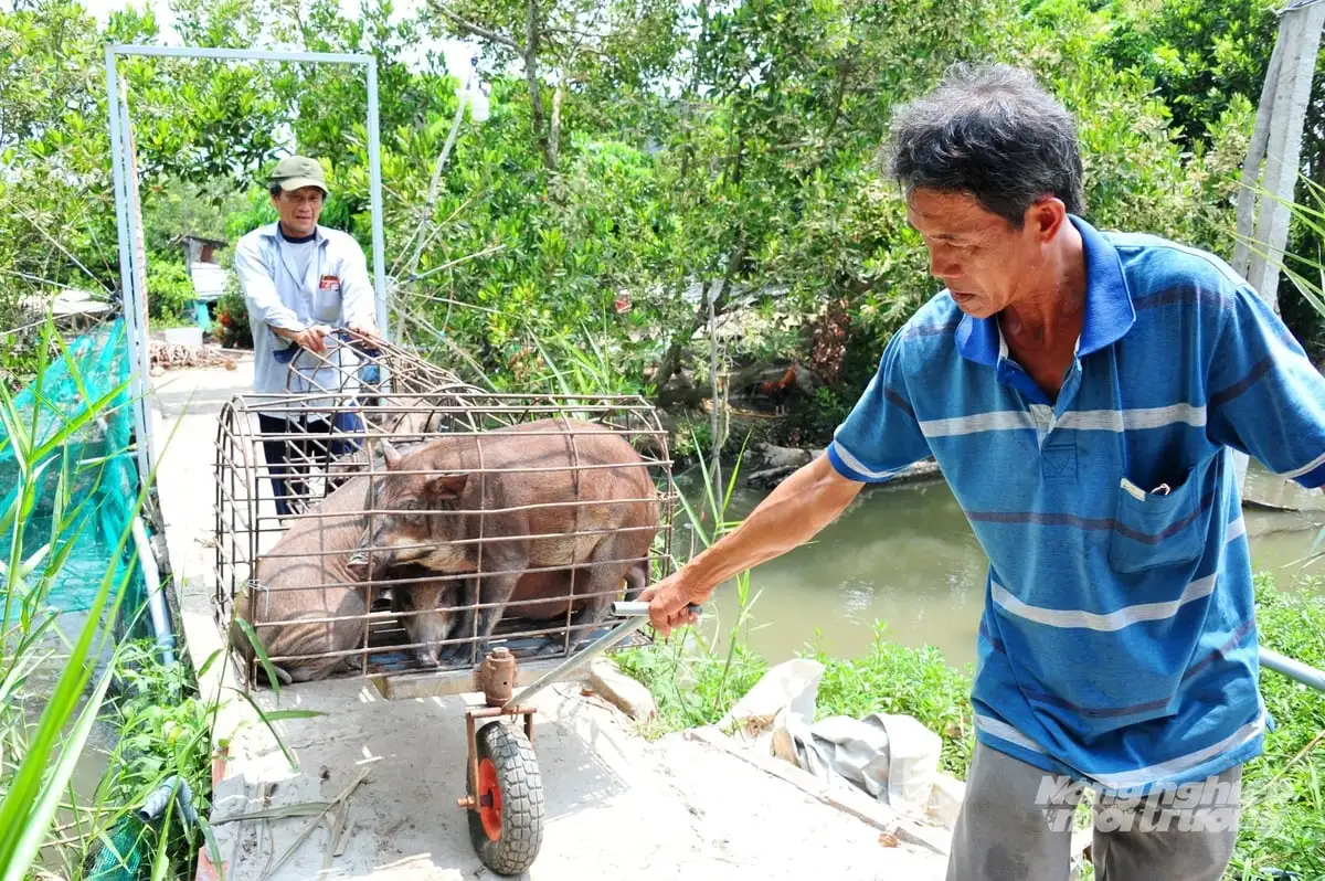 Chuỗi liên kết, lời giải cho bài toán phòng dịch và đầu ra