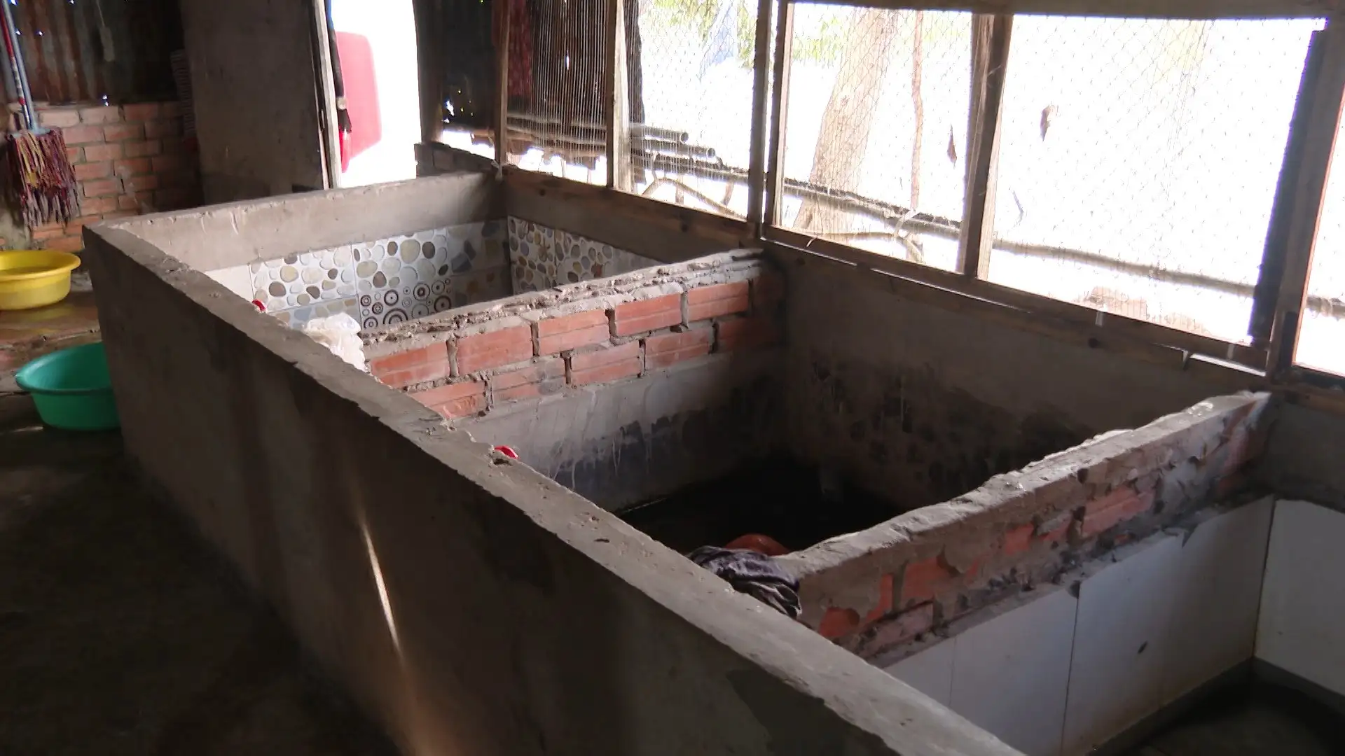 Con động vật hoang dã này cầm đầu cầm đuôi dễ mà, nuôi thành công ở Cà Mau, cứ lớn là bán hết cả đàn