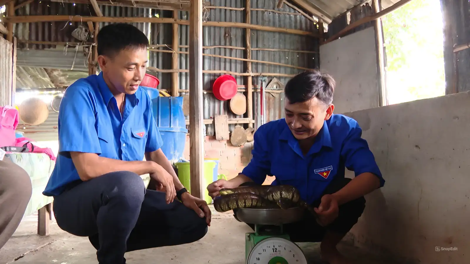 Con động vật hoang dã này cầm đầu cầm đuôi dễ mà, nuôi thành công ở Cà Mau, cứ lớn là bán hết cả đàn