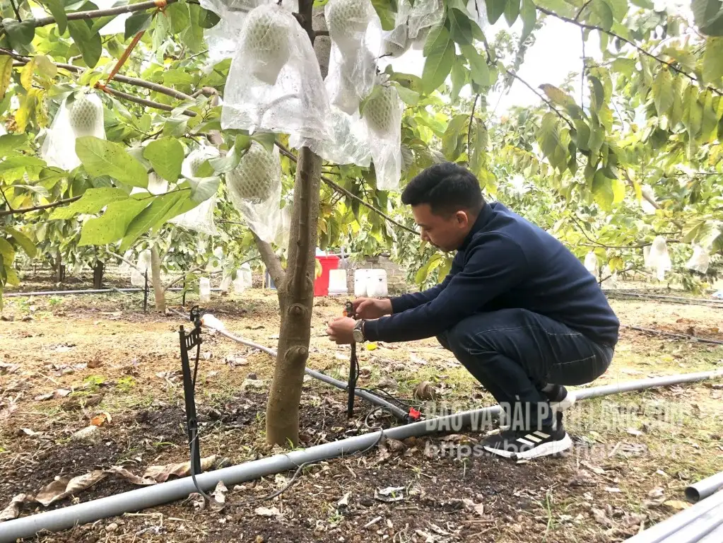 Công nghệ tiếp sức nhà nông