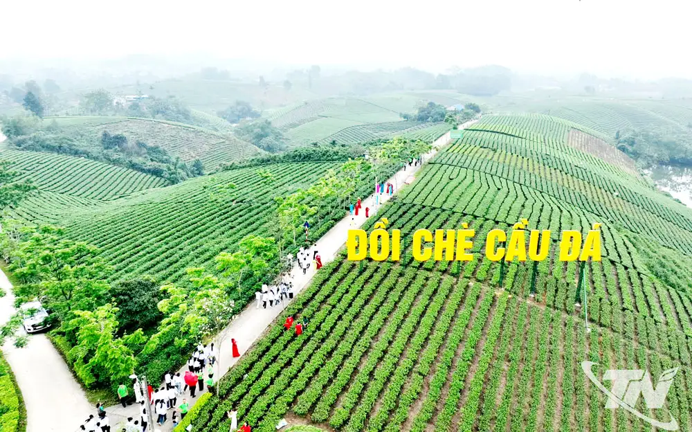 Để OCOP không chỉ là thương hiệu
