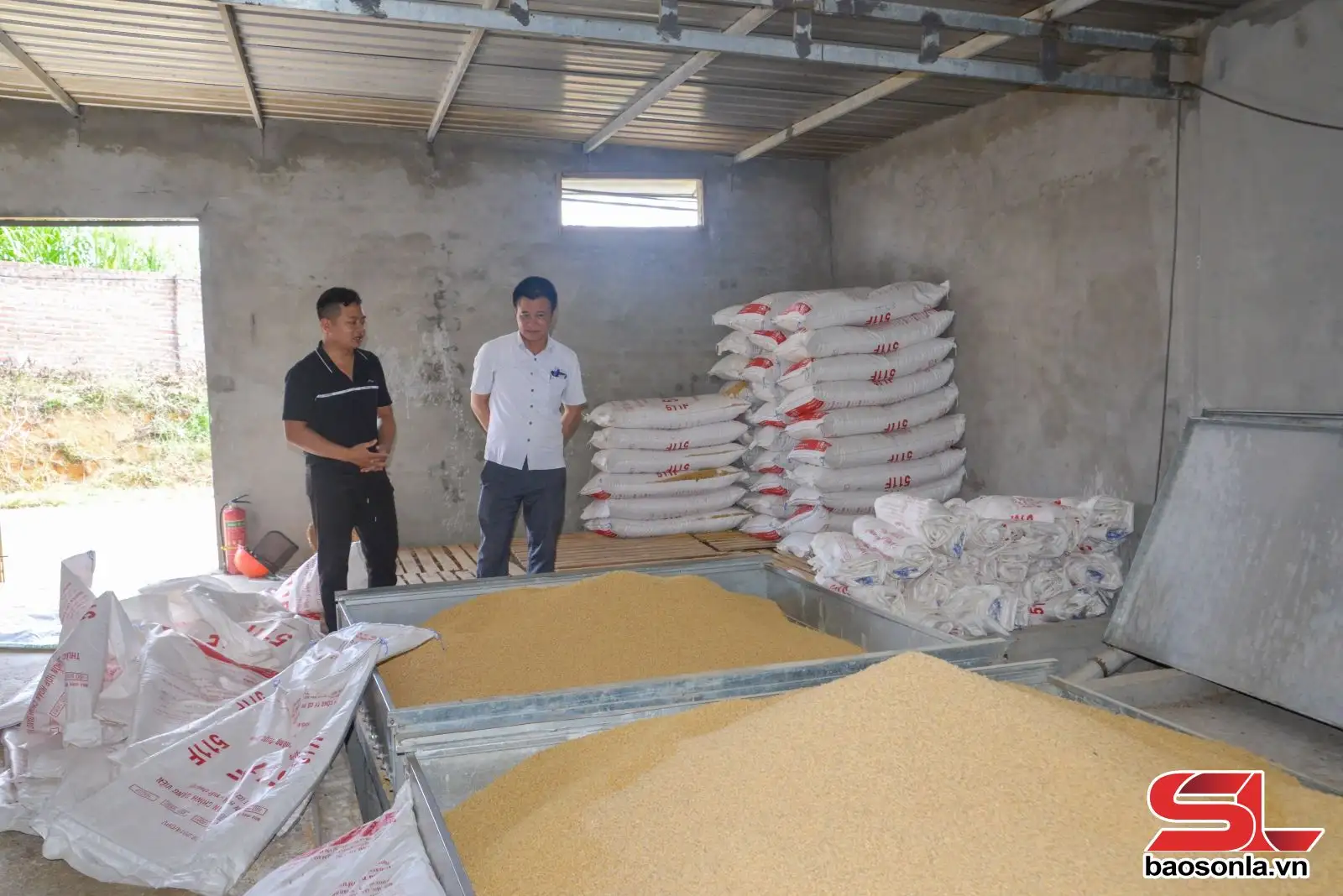 Đồng hành cùng nông dân phát triển kinh tế