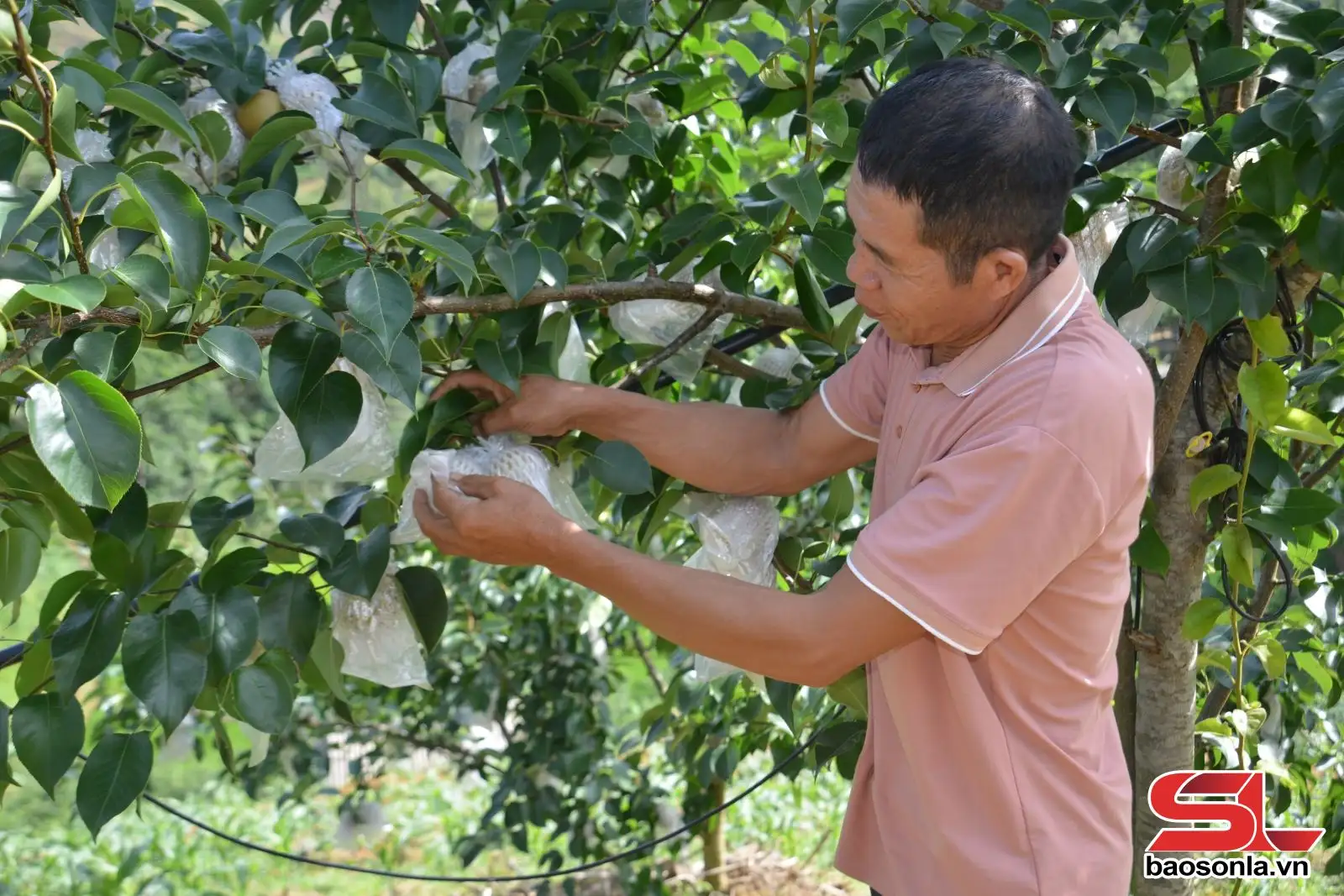 Đồng hành cùng nông dân phát triển kinh tế