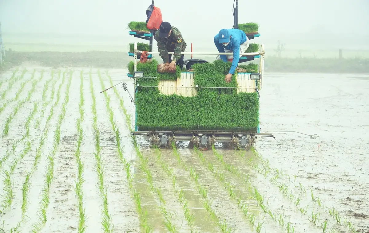 Động lực mới trong xây dựng nông thôn mới ở Nghệ An
