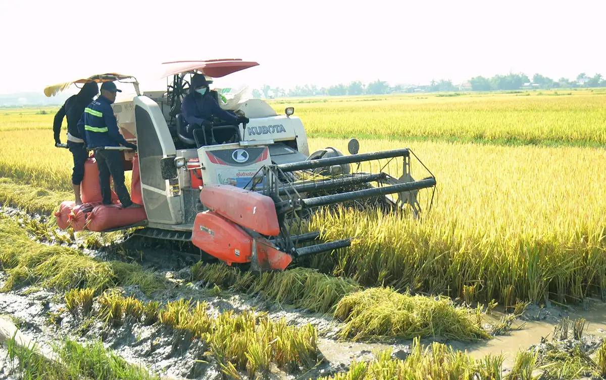 Động lực mới trong xây dựng nông thôn mới ở Nghệ An