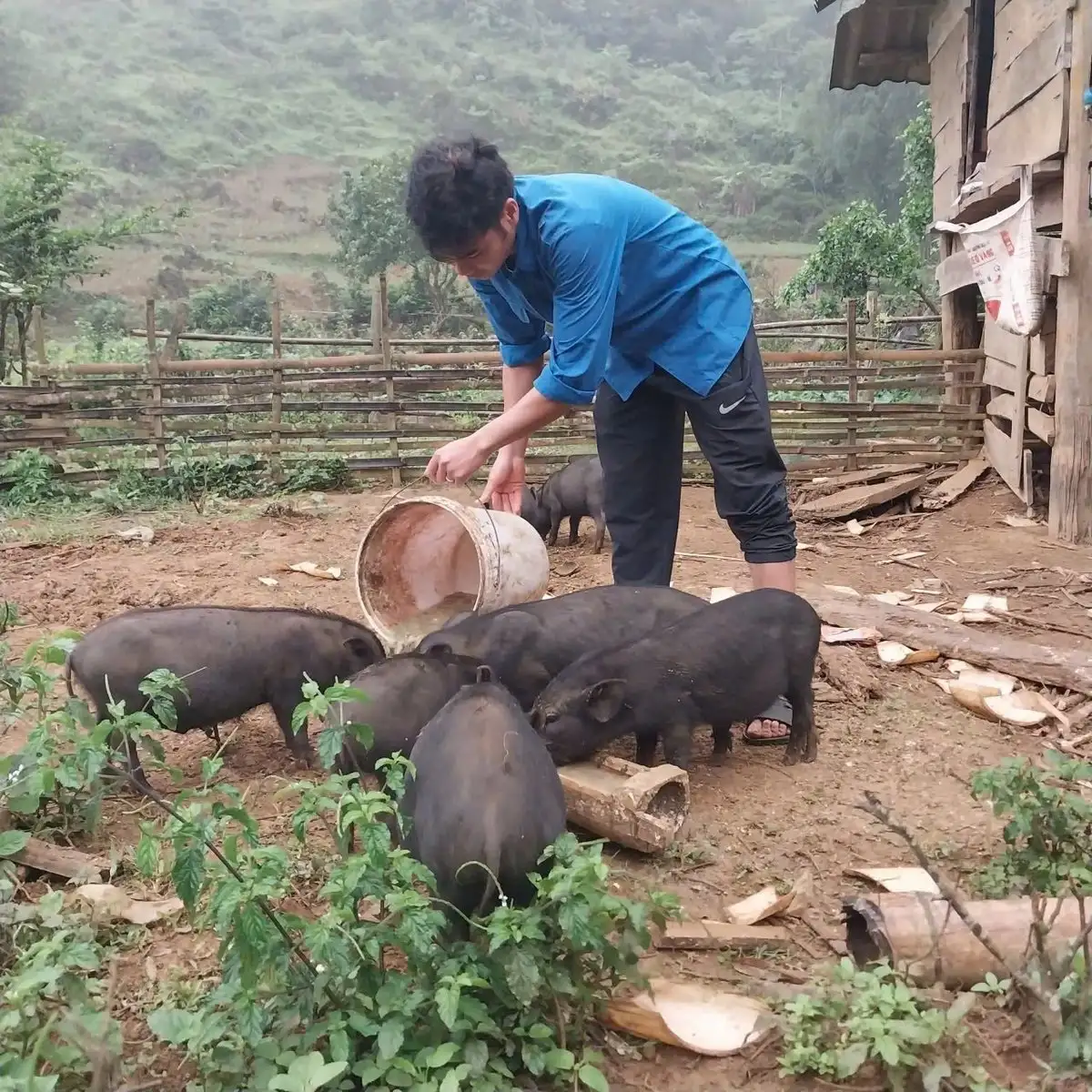 Giàu từ chăn nuôi kết hợp du lịch