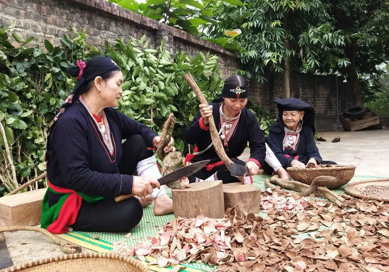 Hà Nội phát triển dược liệu gắn với sinh kế 