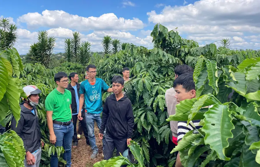 IPHM giúp nông dân bứt phá sang nông nghiệp xanh