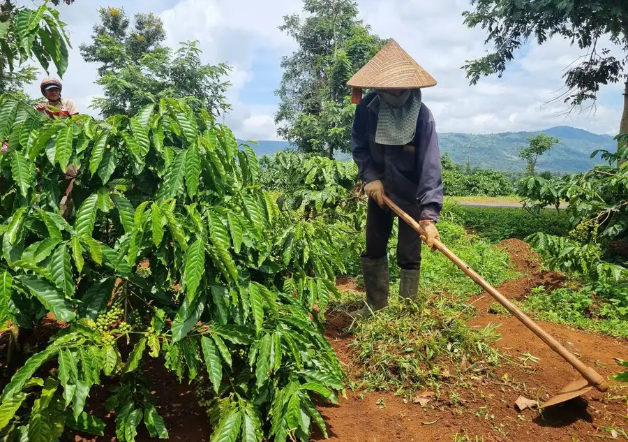 IPHM giúp nông dân bứt phá sang nông nghiệp xanh