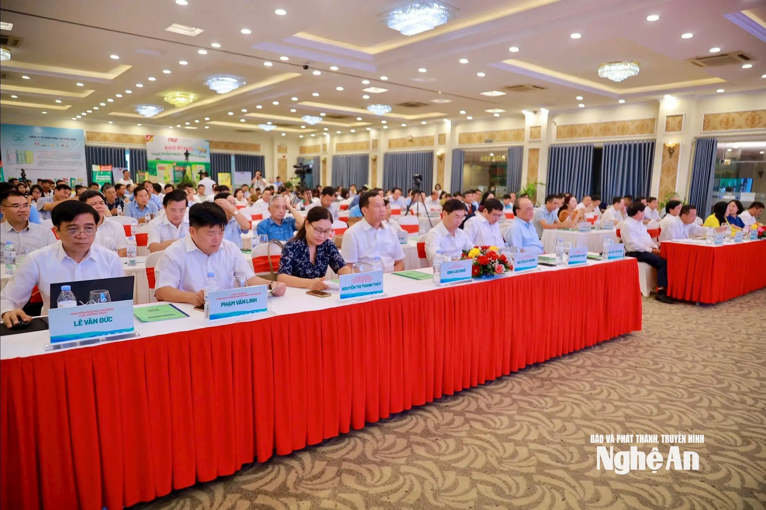 Kết nối sản xuất, tiêu thụ nông sản dứa, chè, cây ăn quả có múi các tỉnh vùng Bắc Trung Bộ