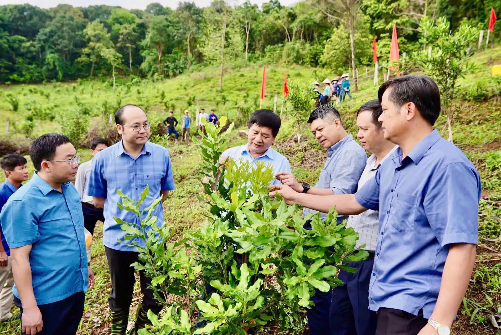 Khai thác thế mạnh nông nghiệp