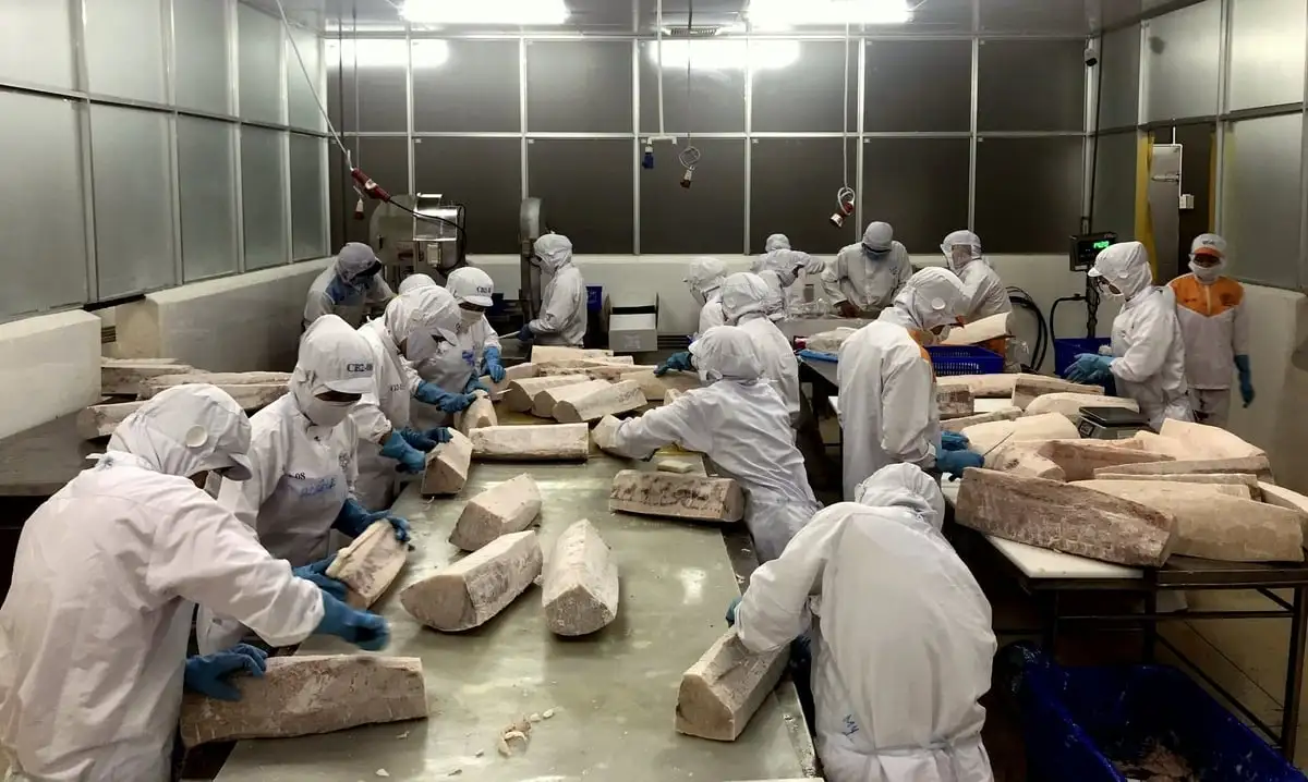 Khánh Hòa nỗ lực vượt khó, giữ vững đà xuất khẩu thủy sản