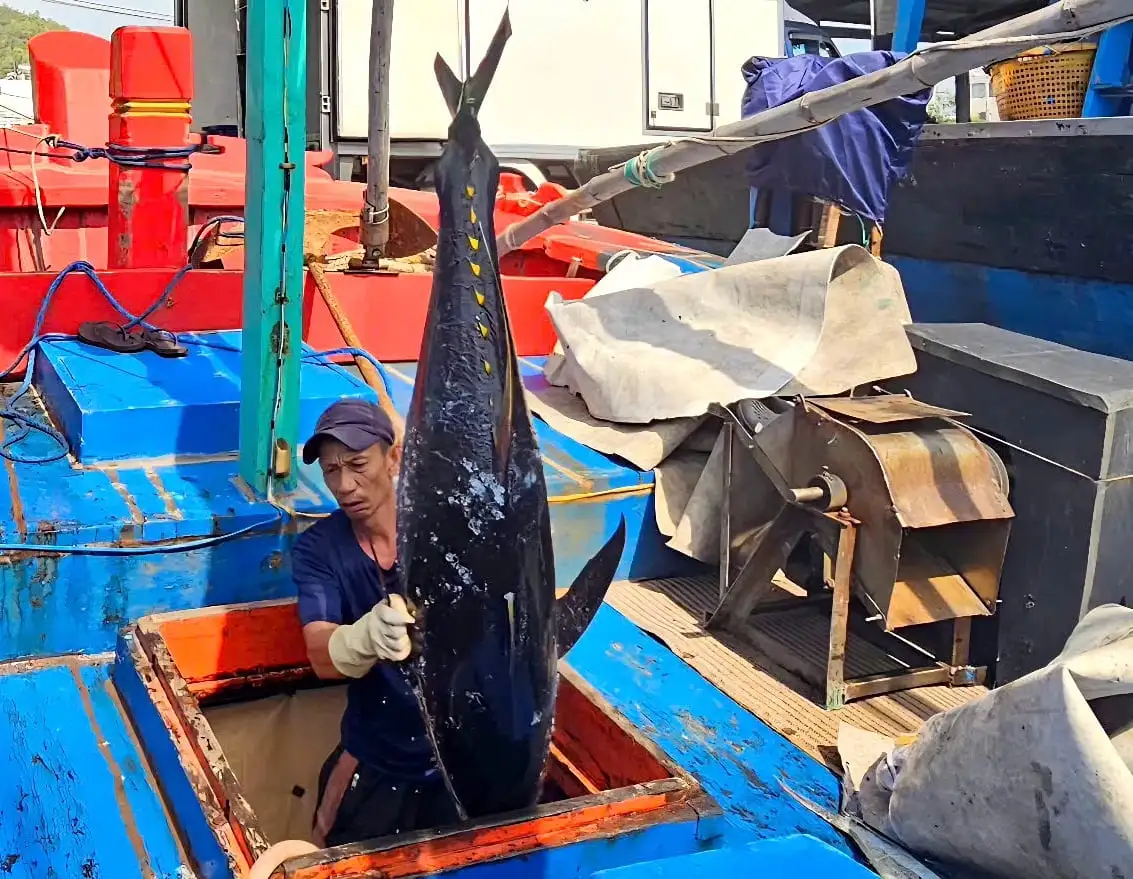 Khánh Hòa nỗ lực vượt khó, giữ vững đà xuất khẩu thủy sản