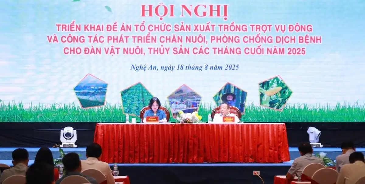 Khống chế dịch tả lợn Châu Phi là nhiệm vụ cấp bách của Nghệ An
