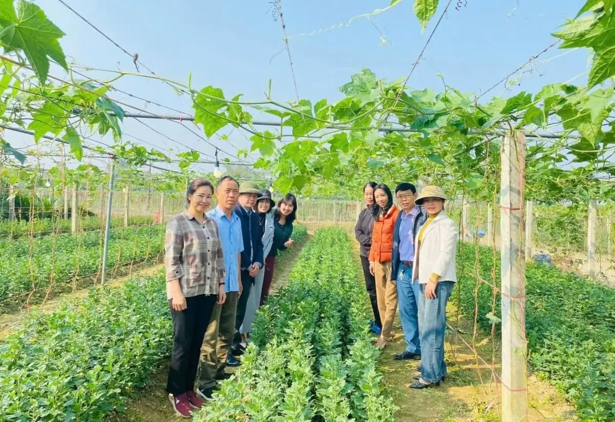 Khuyến nông Nghệ An chuyển từ hỗ trợ kỹ thuật sang kiến tạo giá trị