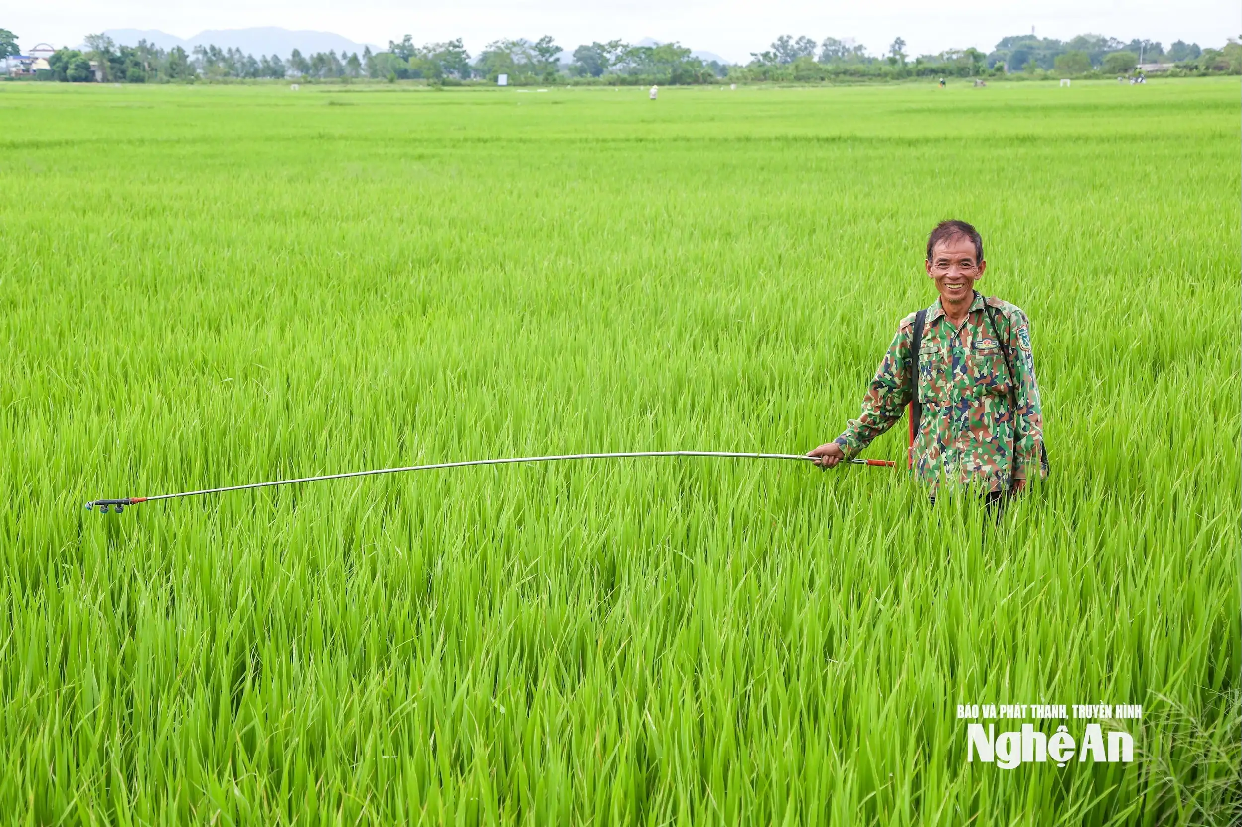Kinh tế nông hộ: Vững vàng nhờ biết phòng hơn chống