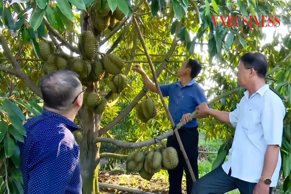 Kinh tế tập thể đồng hành cùng Tây Ninh xây dựng nông thôn mới bền vững