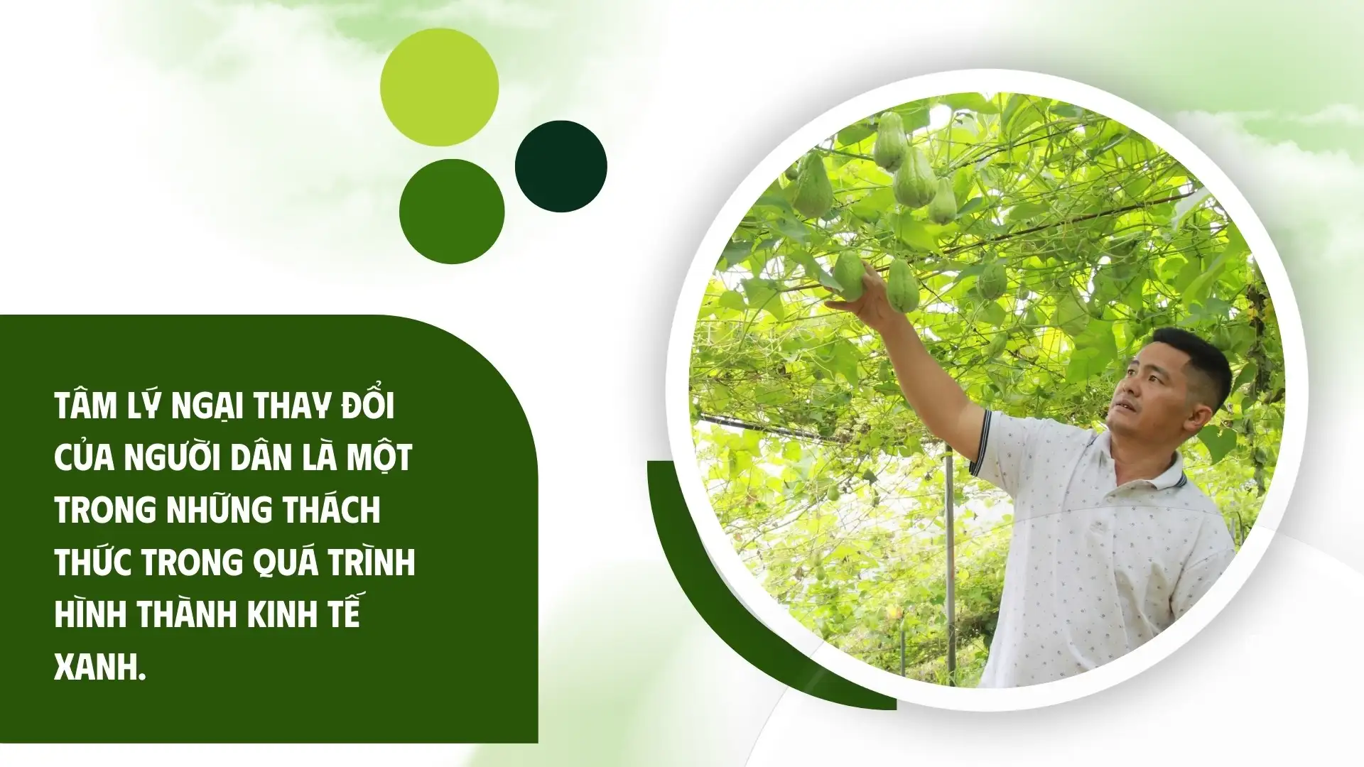 Kinh tế xanh: Cơ hội và thách thức