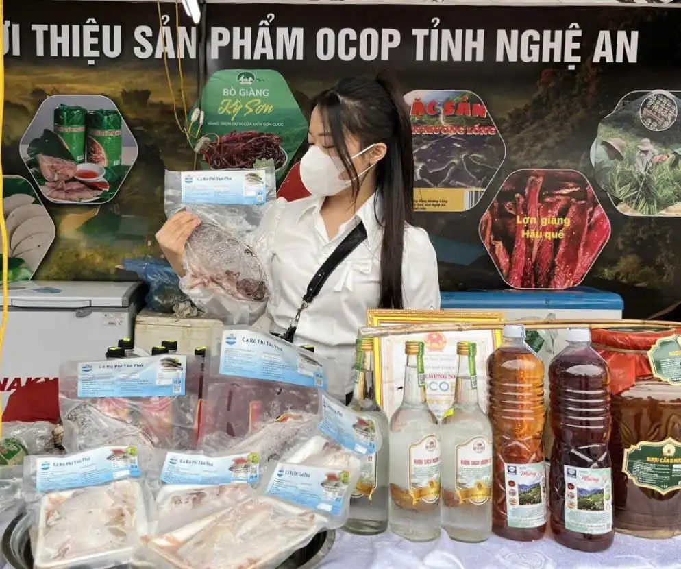 Loại cá ít xương, thịt giàu protein này nuôi dày đặc ở hồ nước 20ha tại một xã của Nghệ An, cứ bắt lên là bán hút hàng