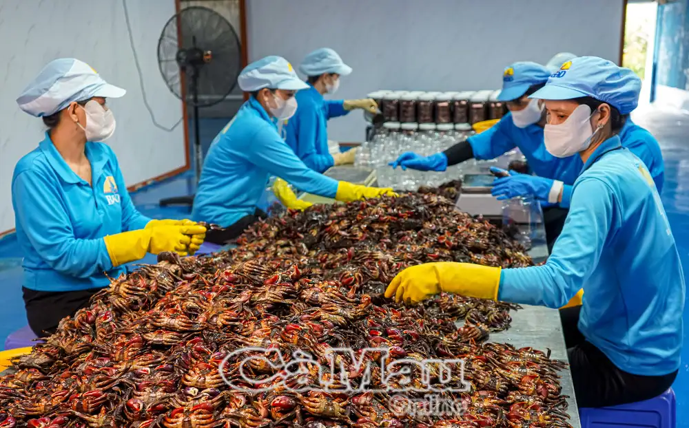 Nâng cao năng lực hoạt động của hợp tác xã