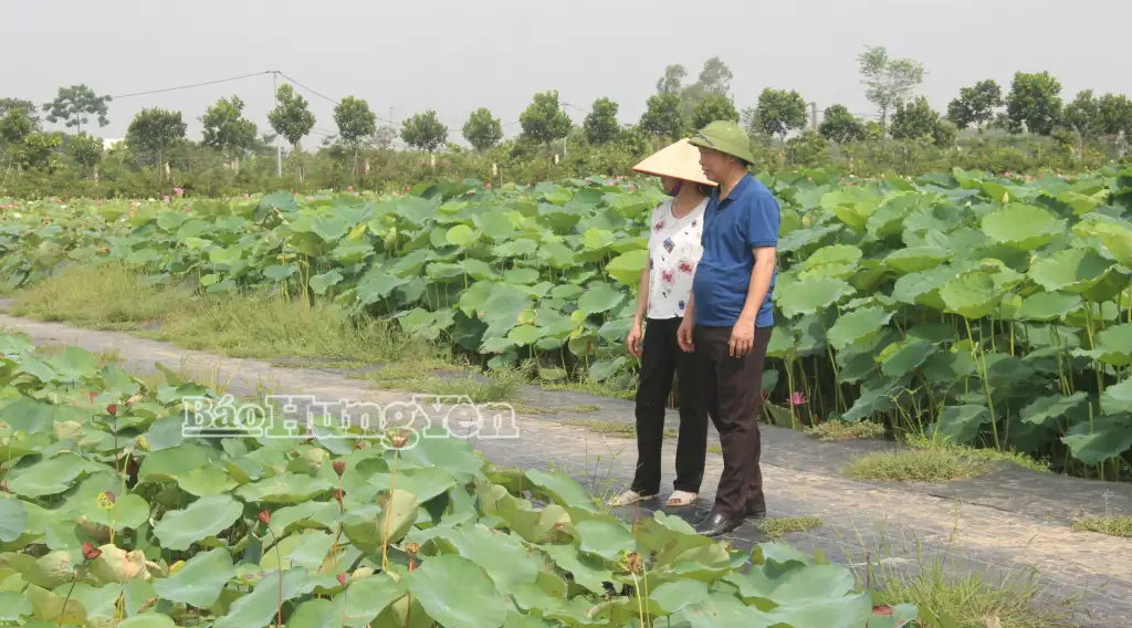 Nghị định 156 &#8211; Động lực mới cho tam nông