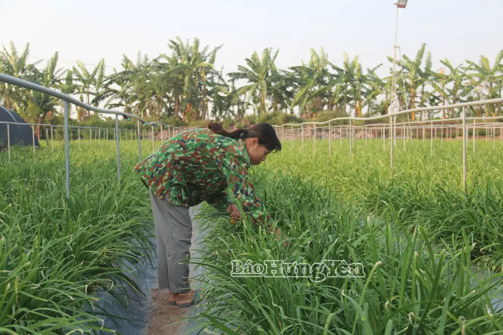 Nghị định 156 &#8211; Động lực mới cho tam nông