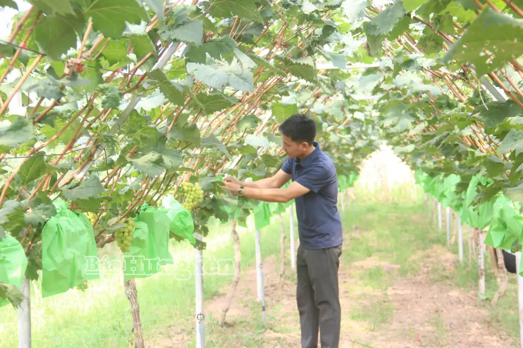 Nghị định 156 – Động lực mới cho tam nông