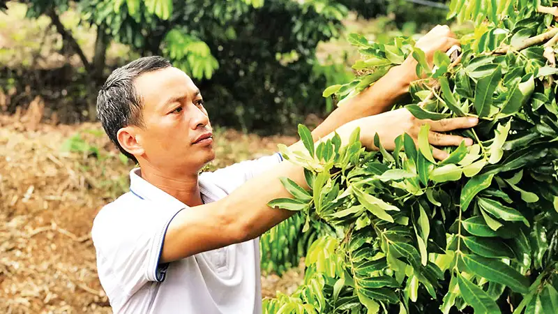 Nhiệm vụ mới của chính quyền cấp xã về nông thôn mới, giảm nghèo