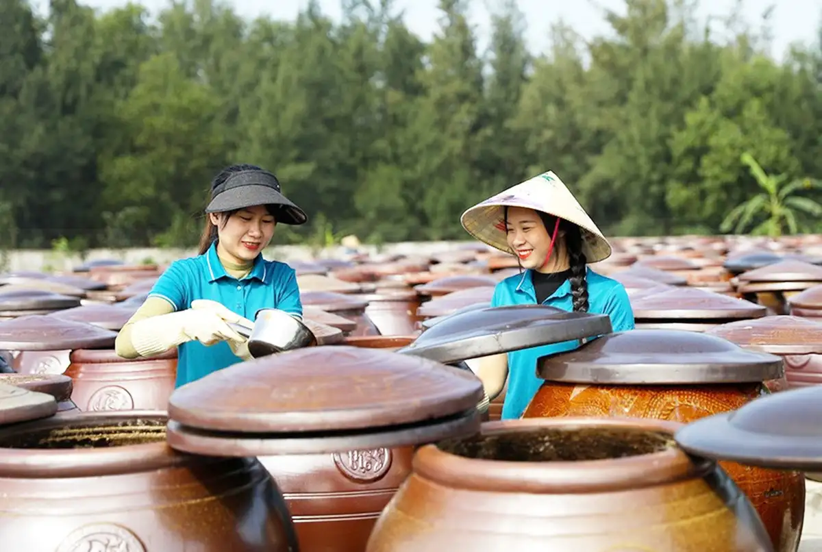 Những ‘cánh chim’ đưa nông thôn mới Hà Tĩnh vươn cao