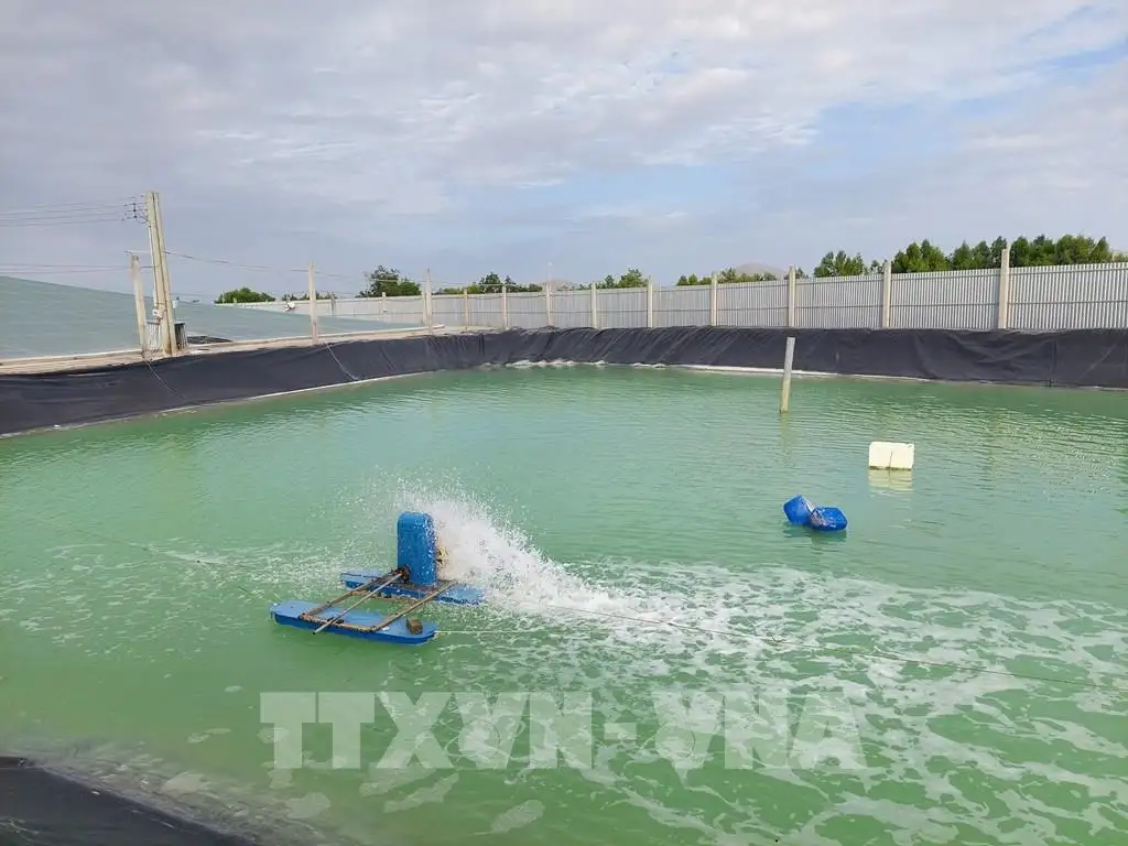 Nông dân đổi đời nhờ mô hình canh tác hiện đại