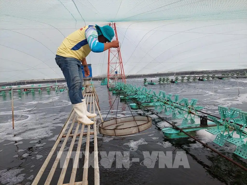 Nông dân đổi đời nhờ mô hình canh tác hiện đại