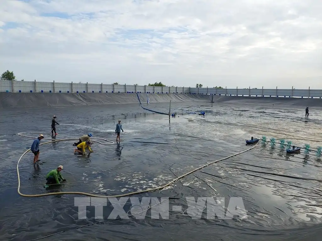 Nông dân đổi đời nhờ mô hình canh tác hiện đại