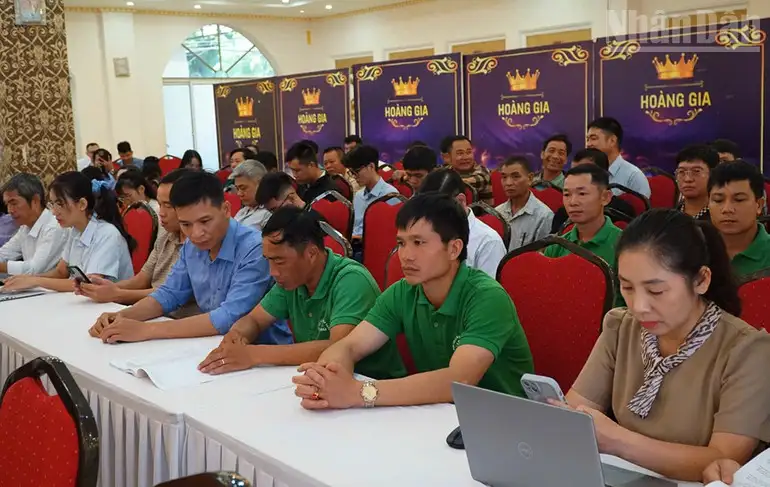 Nông lâm kết hợp, hướng đi bền vững cho miền núi phía bắc