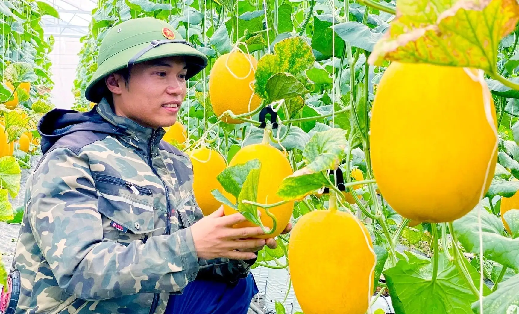 Nông nghiệp và môi trường dẫn dắt tăng trưởng xanh