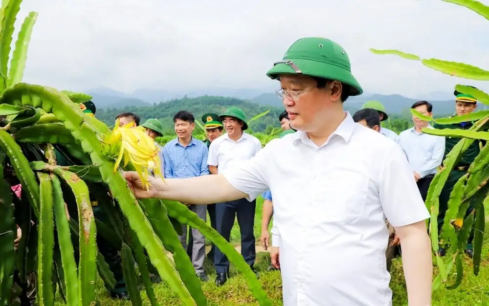 Nông nghiệp và môi trường dẫn dắt tăng trưởng xanh