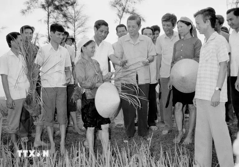 Nông nghiệp Việt Nam: Hành trình thần kỳ bằng mồ hôi và khát vọng