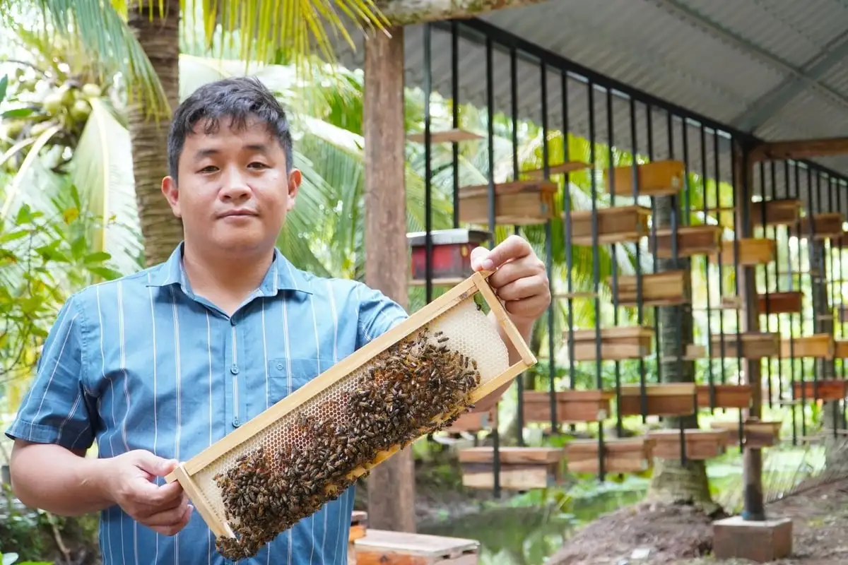 Nuôi ong tách tầng, hiệu quả tăng bằng lần