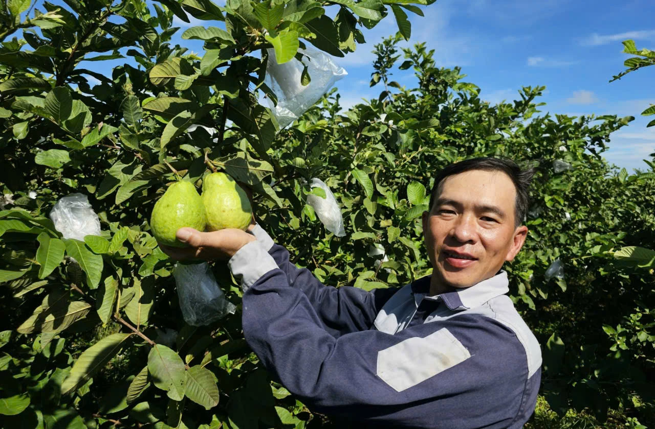 OCOP-Khẳng định thế mạnh sản phẩm nông nghiệp địa phương