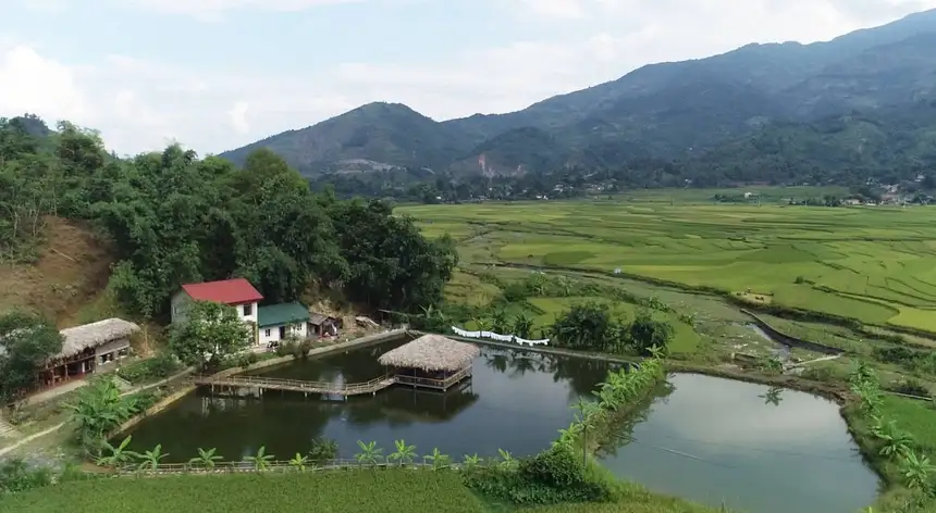 Phấn đấu &#8220;mục tiêu kép&#8221; xây dựng nông thôn mới gắn với giảm nghèo bền vững