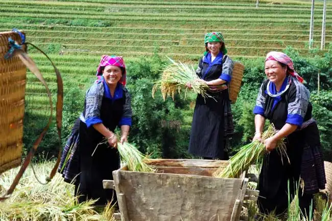 Phân quyền cho chính quyền cấp xã: Tăng hiệu lực trong giảm nghèo, xây dựng nông thôn mới
