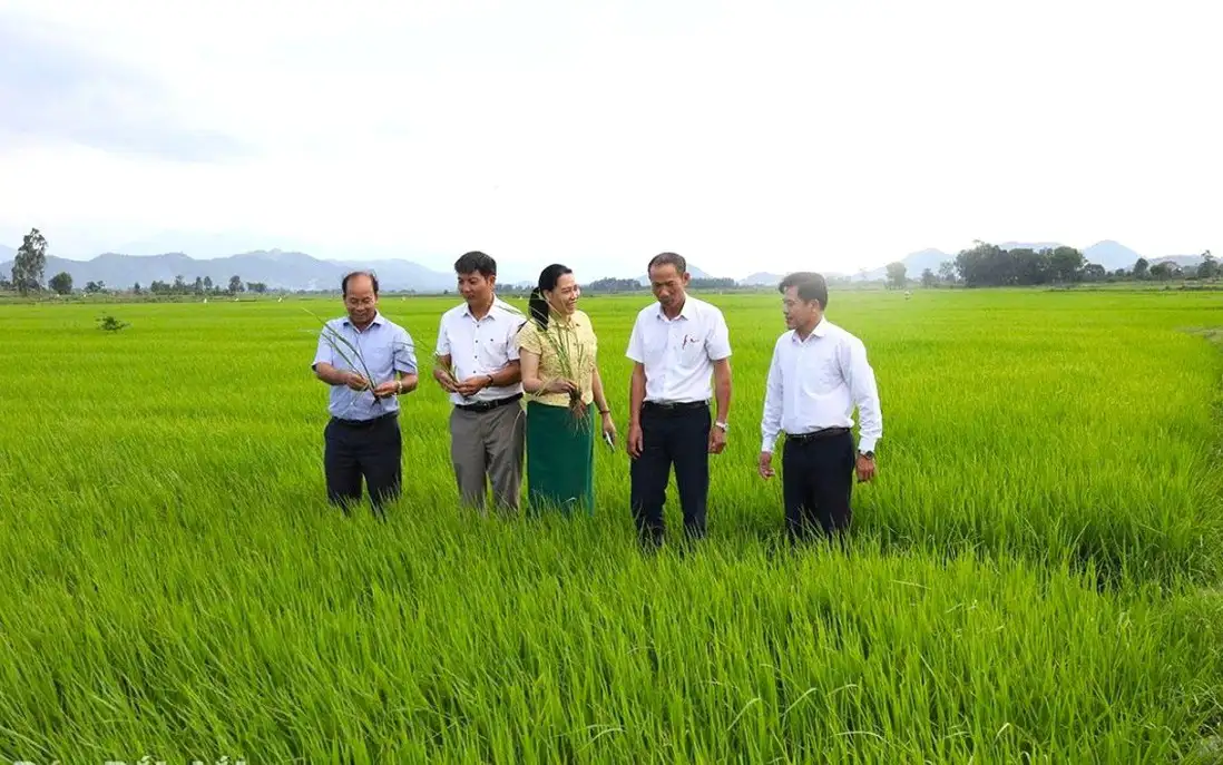 Phát huy nội lực của nhân dân trong xây dựng nông thôn mới