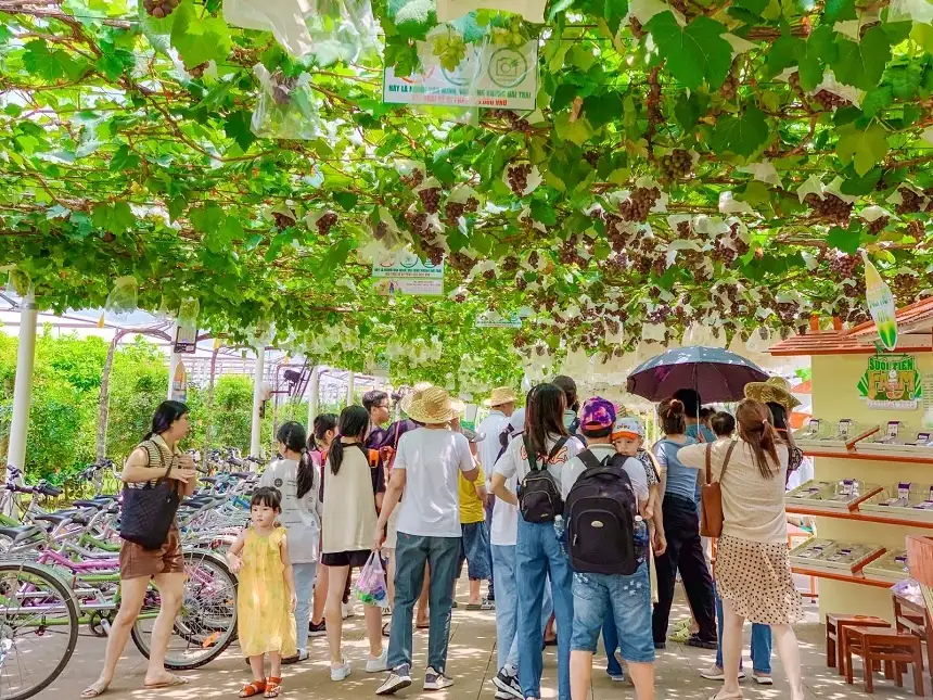 Phát triển du lịch – nông nghiệp: ‘cơ hội vàng’ để địa phương bứt phá