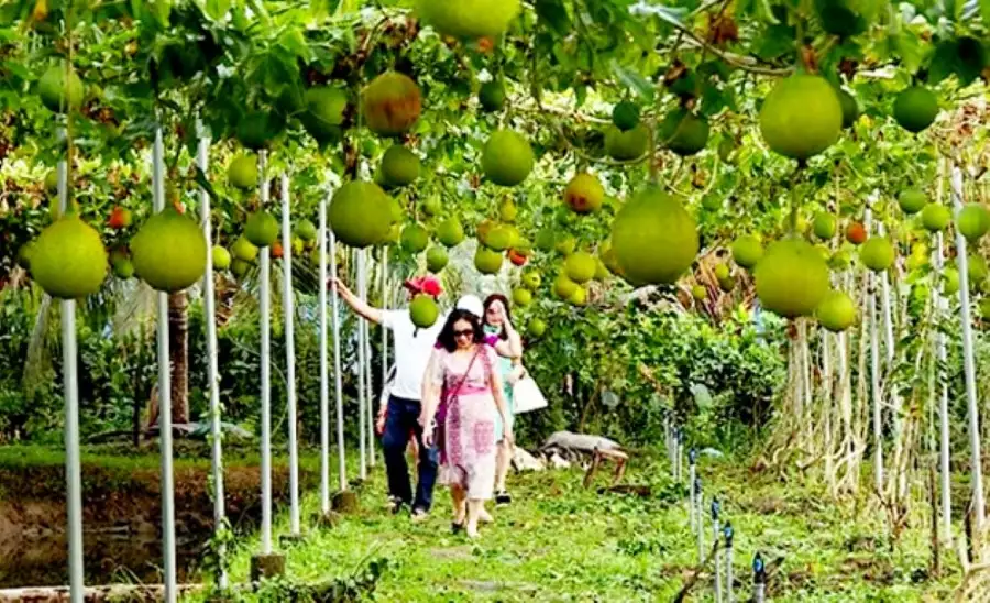 Phát triển nông nghiệp sinh thái bền vững cần các chính sách “chạm đất”